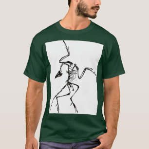 Camiseta Esqueleto de Archaeopteryx Impressão Gráfico