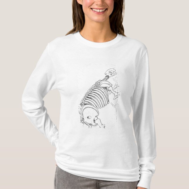 Camiseta Esqueleto de um Mylodon (Frente)