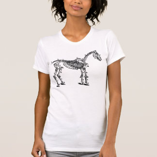 Camiseta esqueleto do cavalo