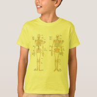 Esqueleto humano etiquetado carta da anatomia