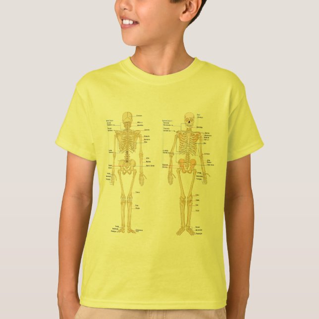 Camiseta Esqueleto humano etiquetado carta da anatomia (Frente)