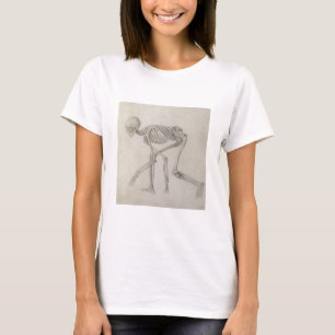 Camiseta Esqueleto humano: Vista lateral na postura de
