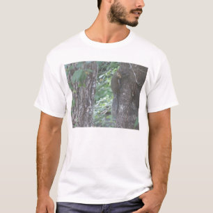 Camiseta Esquilo
