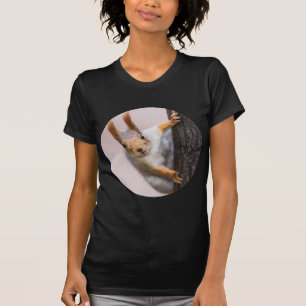 Camiseta Esquilo curioso