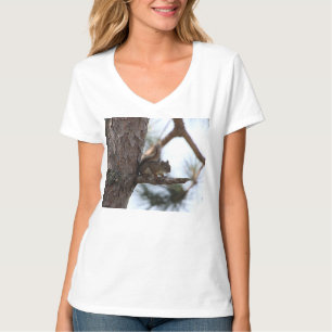Camiseta Esquilo em uma árvore de pinheiro
