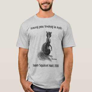 Camiseta Esquilo Haiti 2010 da equipe