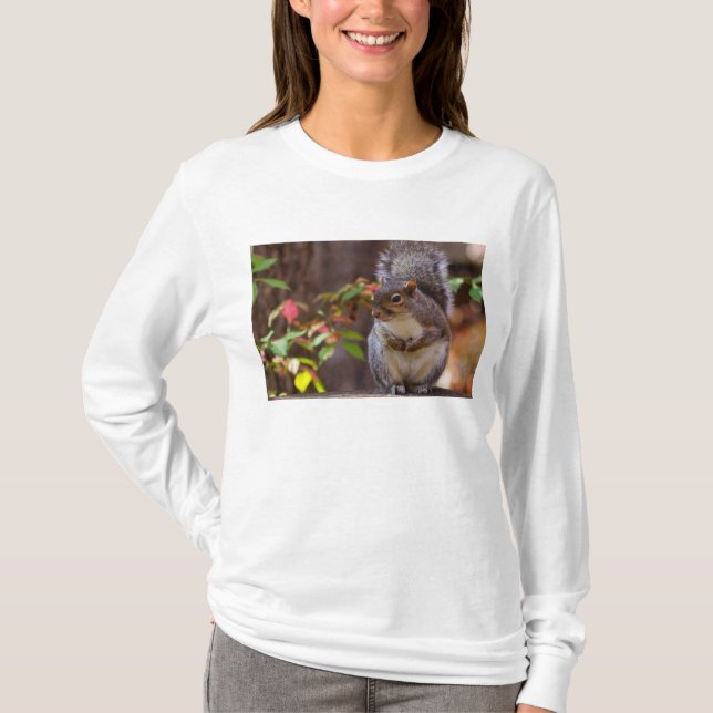 Camiseta Esquilo Leva Com Paciência Leve Longa (Frente)