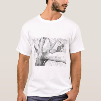 Camiseta Esquilo na floresta impresso em T-Shirt