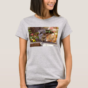 Camiseta Esquilo Pedinte
