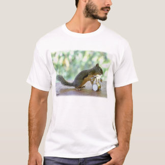 Camiseta Esquilo que joga cilindros