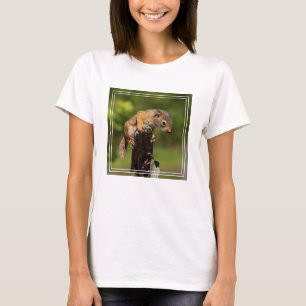 Camiseta Esquilo Vermelho Bebê
