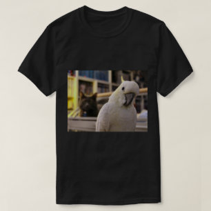 Camiseta Está atrás de mim... não está?