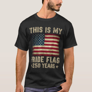 Camiseta Esta É Minha Bandeira do Orgulho EUA Americana 250