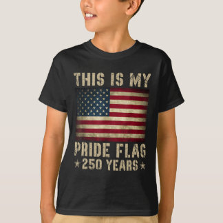 Camiseta Esta é Minha Bandeira do Orgulho EUA Americana 250