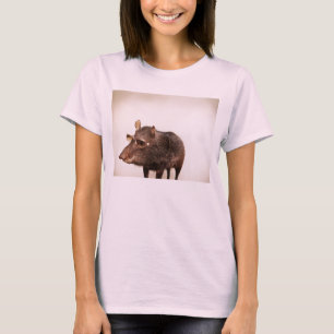 Camiseta Está ensolarado hoje?