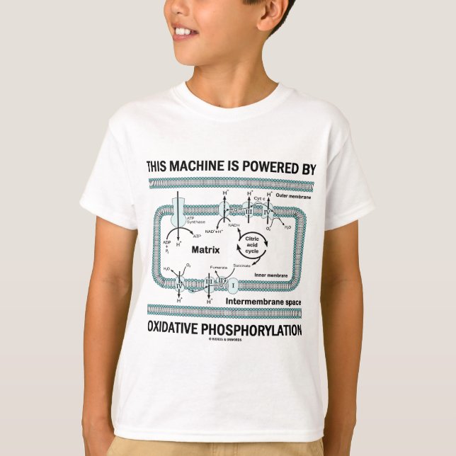 Camiseta Esta Máquina Acionada Por Fosforilação Oxidativa (Frente)
