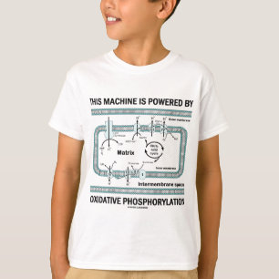 Camiseta Esta máquina psta pela fosforilação oxidativo