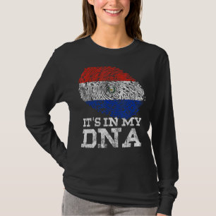 Camiseta Está no meu Dna Paraguai Flag Vintage Parag