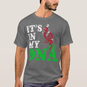 Camiseta Está no meu DNA Wales