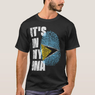 Camiseta ESTÁ NO MEU Santo DE DNA Lúcia Flag