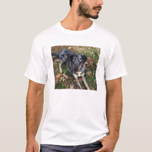 Camiseta Estabelecimento do cão do leopardo de Catahoula