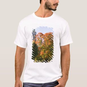 Camiseta Estacione ao lado do Edifício do Parlamento em Ott