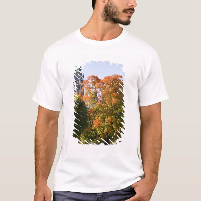 Camiseta Estacione ao lado do Edifício do Parlamento em Ott (Frente)