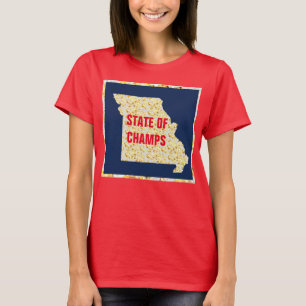 CAMISETA ESTADO DAS CÂMARAS