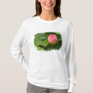 Camiseta Estados Unidos, DC, Washington, Kenilworth