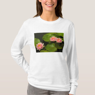 Camiseta Estados Unidos, DC, Washington, Kenilworth 4