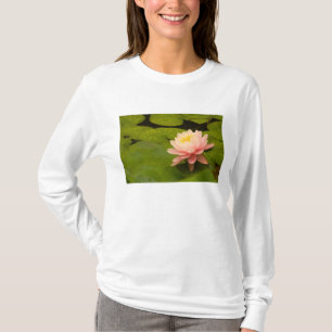 Camiseta Estados Unidos, Maryland, Westminster, Union