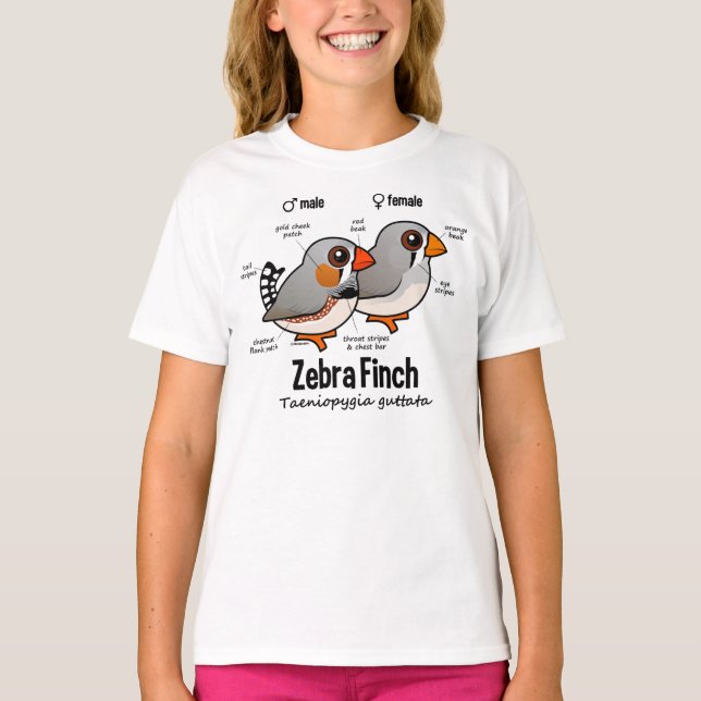 Camiseta Estatísticas de Zebra Finch (Frente)