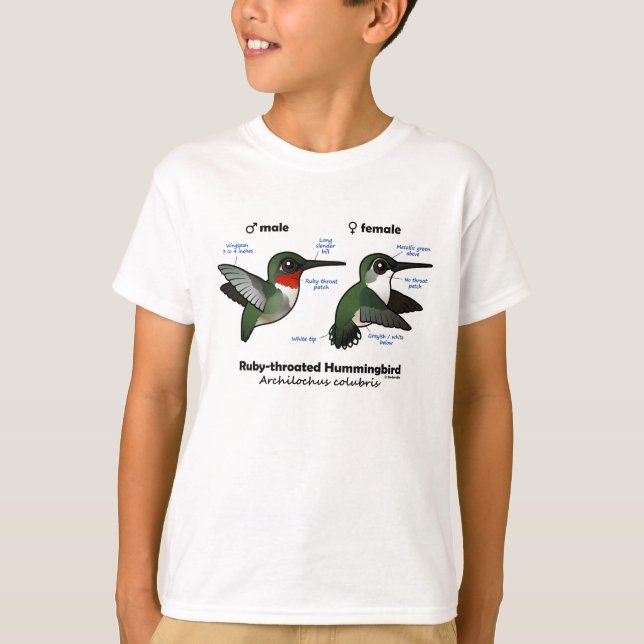 Camiseta Estatísticas do Hummingbird com garganta de rubi (Frente)