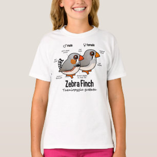 Camiseta Estatísticas do passarinho de zebra