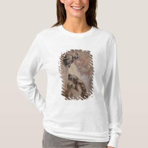 Camiseta Estátua de São João Batista
