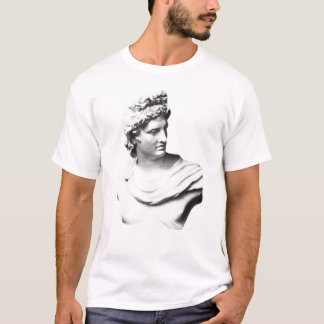 Camiseta estátua do deus grego Apolo de presente