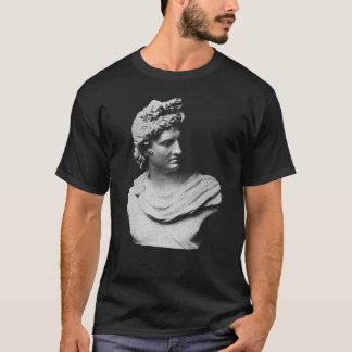 Camiseta estátua do deus grego Apolo de presente