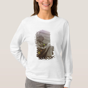 Camiseta Estátua indiana americana do Museu Nacional
