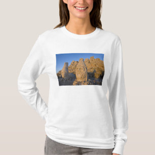 Camiseta Estatuas de cabeças colossais de Deuses guardando