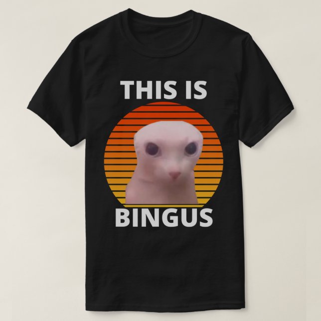 Camiseta Este É Bingus Meme (Frente do Design)