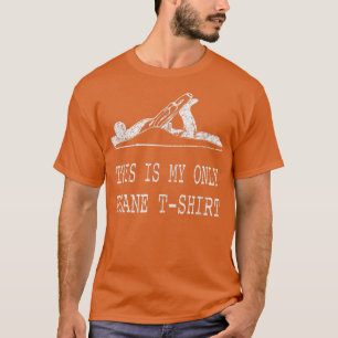 Camiseta Este é o meu único avião, Engraçado.