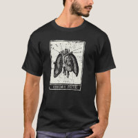 Estilo Da Placa Tarot Anatomia De Vintagem Do Tóra