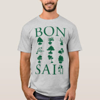 Estilos Básicos da Árvore Bonsai