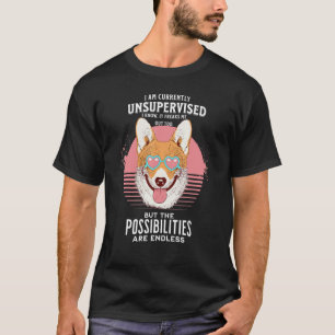 Camiseta Estou Atualmente Sem Supervisão Mas As Possibilida