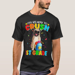 Camiseta Estou Pronto Para Dominar a 1ª Série Pug Dog Volta