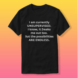 Camiseta Estou sem supervisão