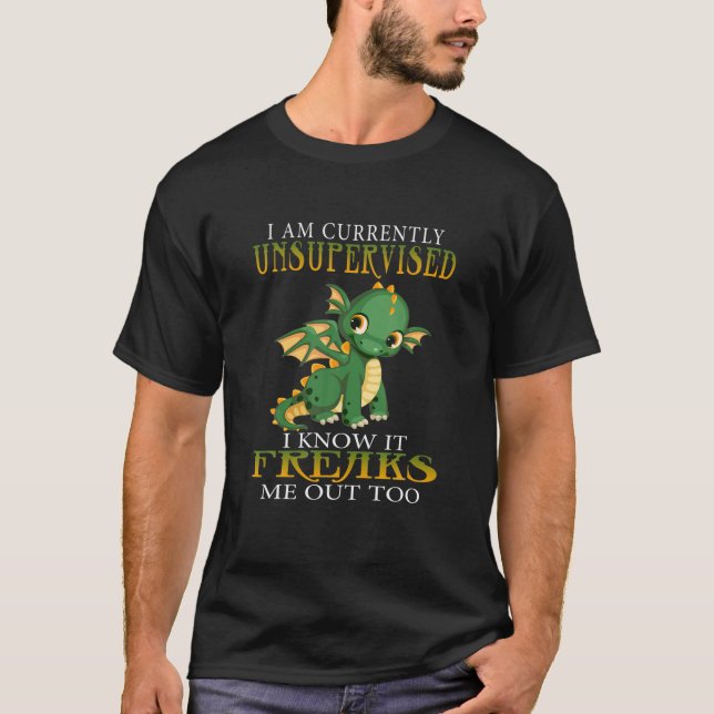 Camiseta Estou Sem Supervisão Atualmente Conheço Dragões En (Frente)