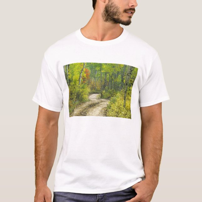 Camiseta Estrada com cores de outono e espaços em Kebler (Frente)