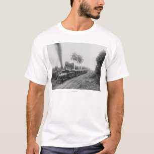 Camiseta Estrada de ferro central Pan-Americano em