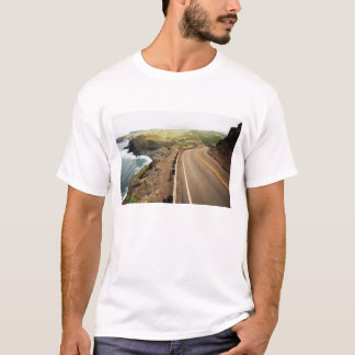 Camiseta Estrada litoral